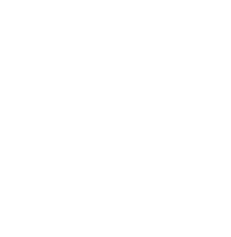 Logo white Vivendis Pro